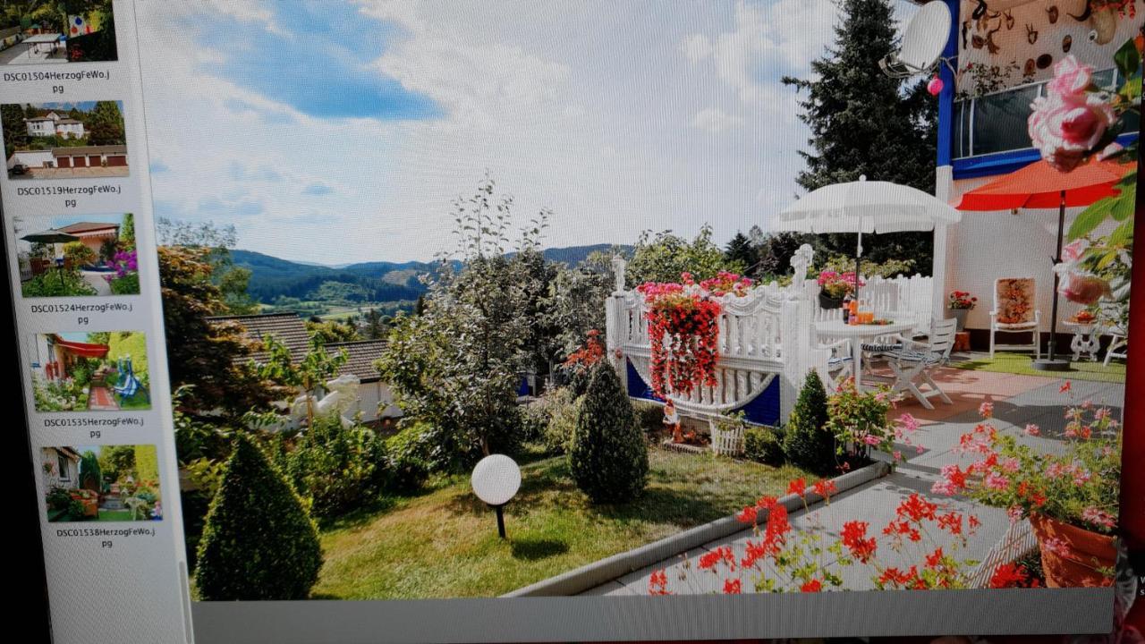 Apartamento Ferienhaus Haus Herzog Titisee-Neustadt Exterior foto