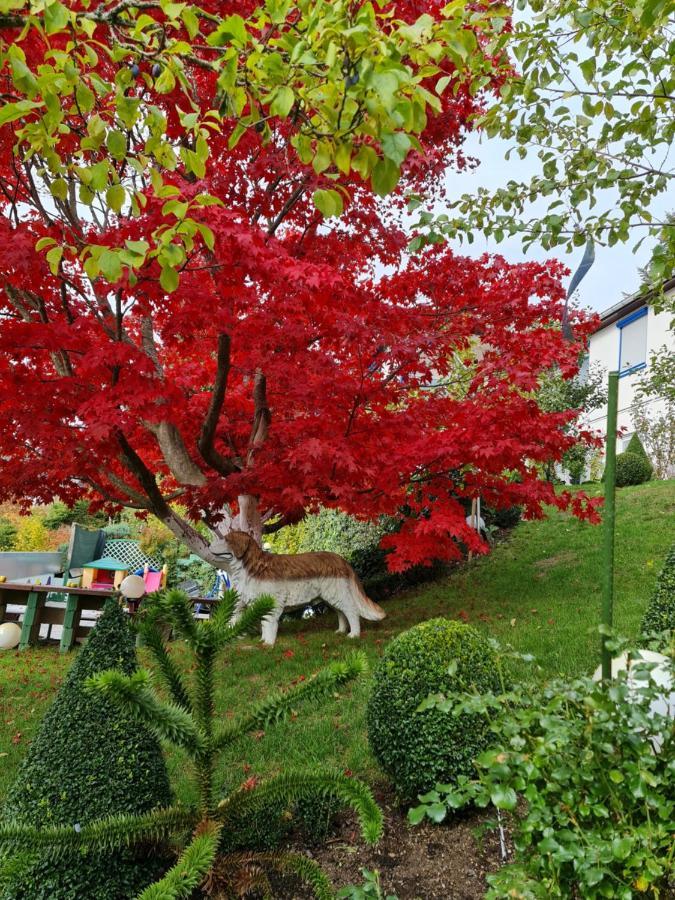 Apartamento Ferienhaus Haus Herzog Titisee-Neustadt Exterior foto