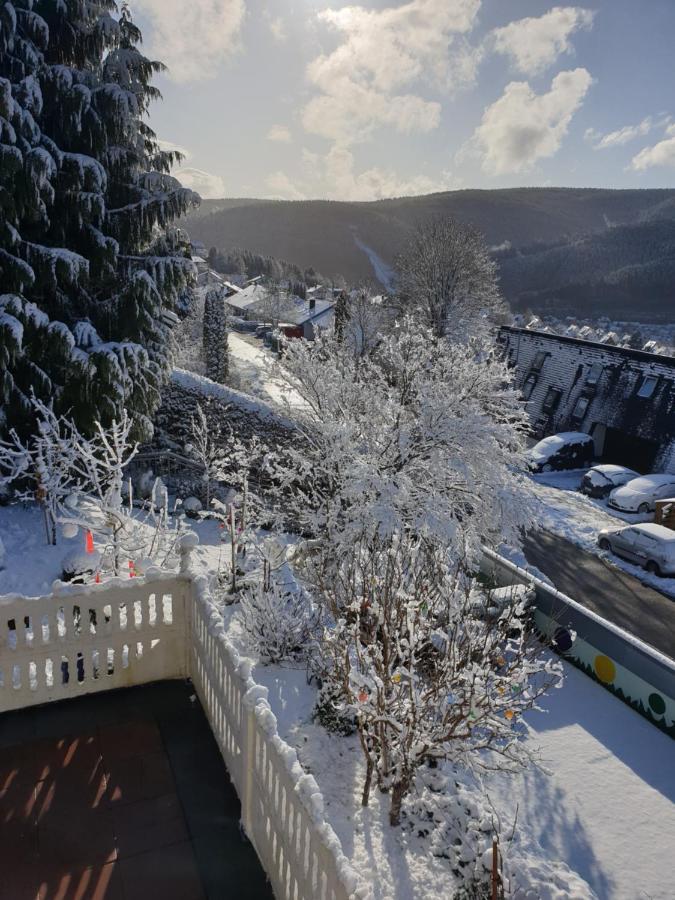 Apartamento Ferienhaus Haus Herzog Titisee-Neustadt Exterior foto